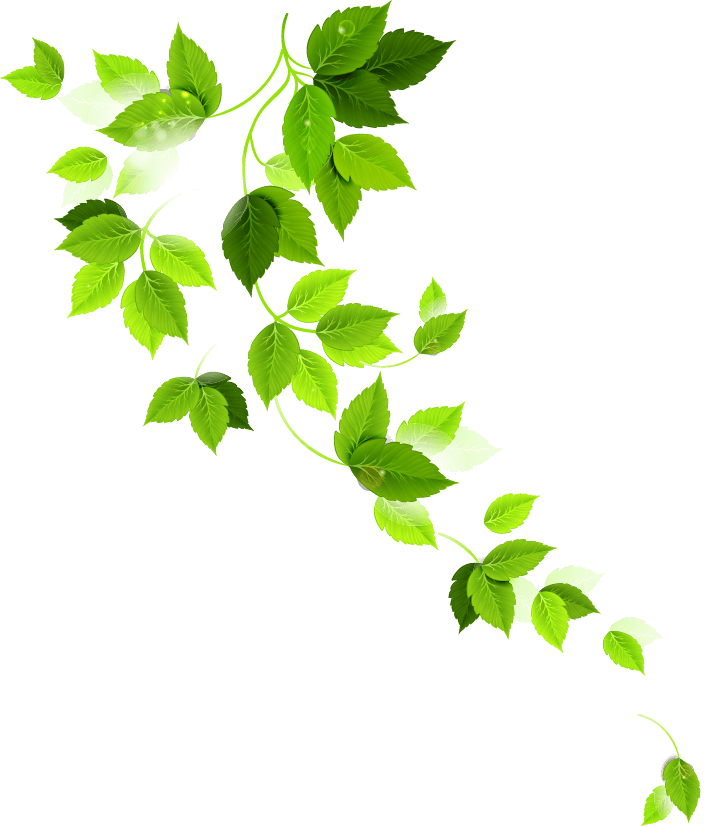 Best%20Farmland%20around%20Chennai