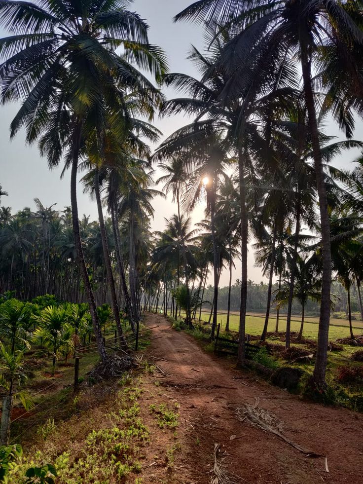 Best%20Farmland%20around%20Chennai