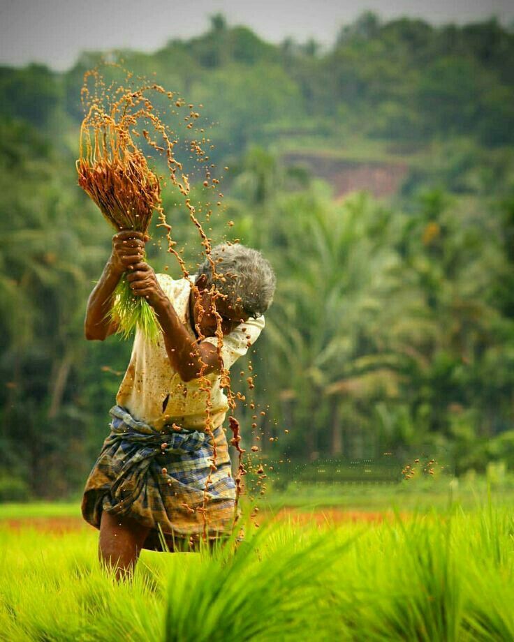 Best%20Farmland%20around%20Chennai